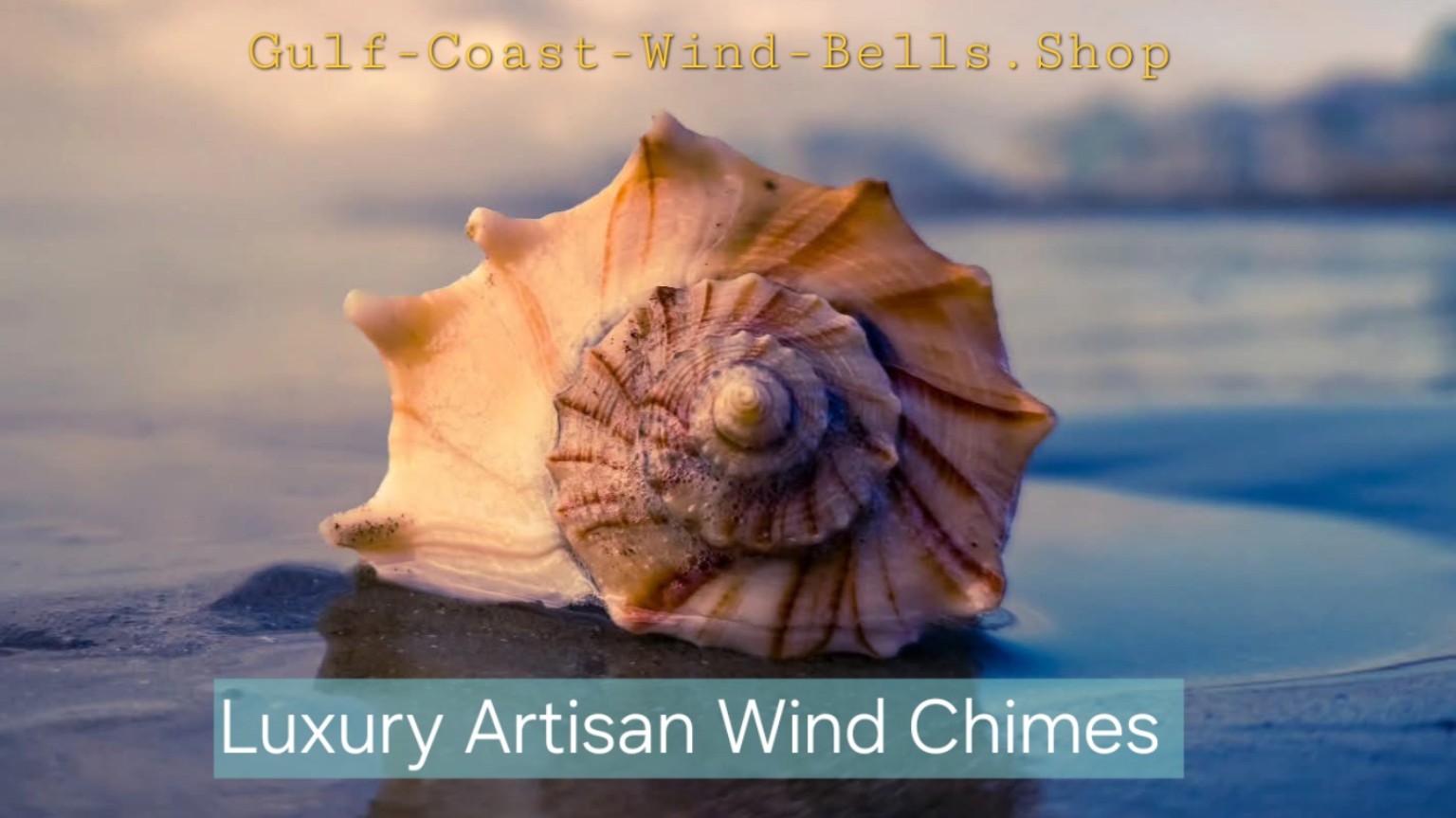 Conch shell on wet sand at golden hour — Gulf Coast Wind Bells refund and returns policy page